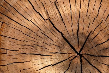 holz.jpg