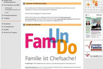 Website der Aktionsplattform mit dem FamUnDo-Logo in pink-blau-gelb dem