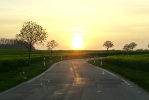 Landstraße in untergehender Sonne